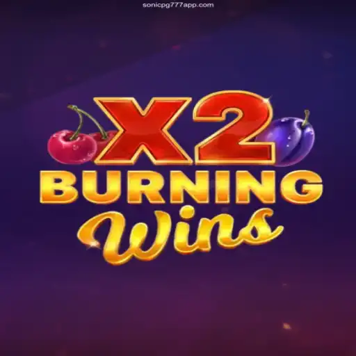 Explore the Exciting World of BurningWinsX2 and Sonicpg777 Cassino Online