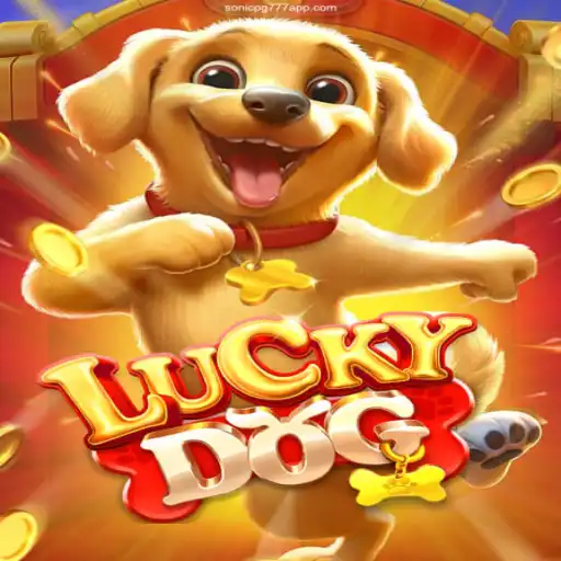 Exploring LuckyDog: A Riveting Journey into Casino Gaming