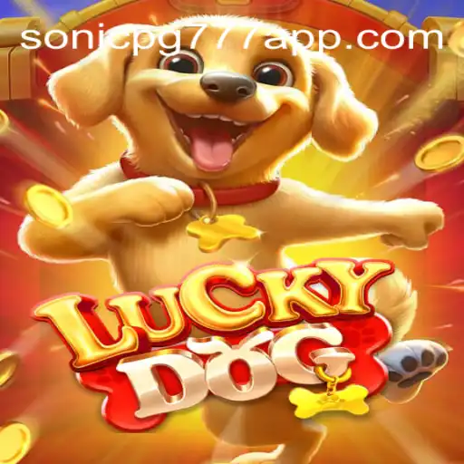 Exploring LuckyDog: A Riveting Journey into Casino Gaming